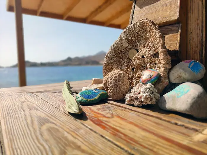 Seashells, coral and hand-painted stones arranged on a sunlit wooden deck